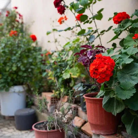 Διαμέρισμα Nyx Τρίπολη